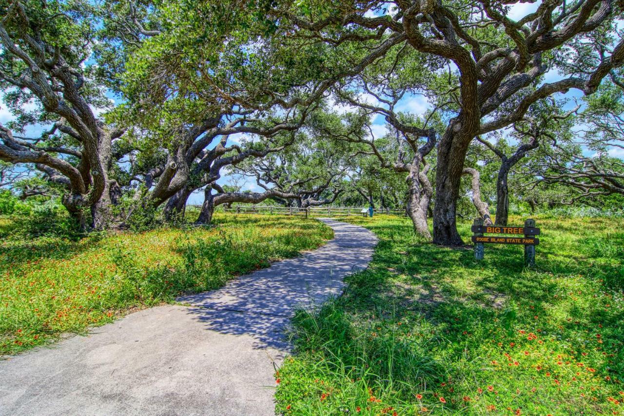 Coastal Hideway #B Villa Rockport Buitenkant foto
